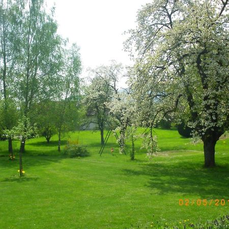Entre Thur Et Montagne Bed and Breakfast Willer-sur-Thur Exterior foto