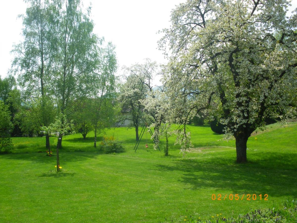 Entre Thur Et Montagne Bed and Breakfast Willer-sur-Thur Exterior foto